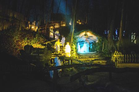 Projekt Božična noč, uspešno zaključen 20